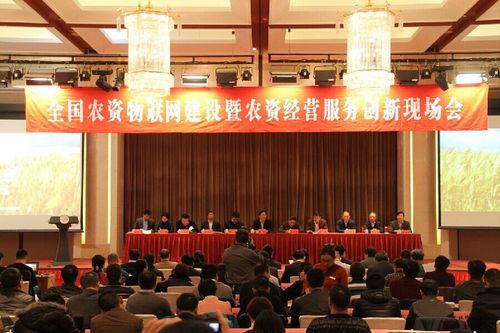 点此在新窗口浏览图片